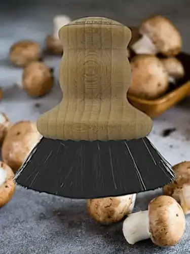 Pilzbürste Bürstenfabrik – MADE IN GERMANY MAAJ® HOLZ