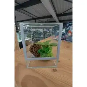 Terrarium Diversa Glas Glas 15x15x20 15 20 Falltür