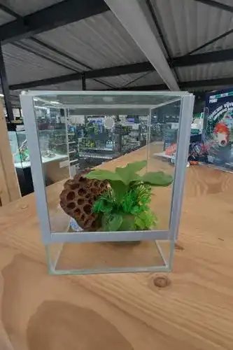 Terrarium Diversa Glas Glas 15x15x20 15 20 Falltür
