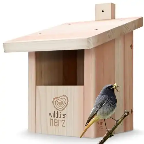 Nistkasten Rotkehlchen wildtier herz I Vogel, Rotschwänzchen