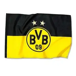 BVB-Fahne Borussia Dortmund BVB 09 Hissfahne 2 Sterne