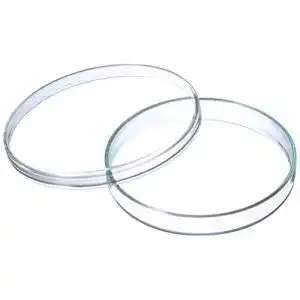 Petrischalen neoLab E-2133 Anumbra, 100 mm x 15 mm, 5er Pack