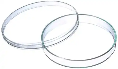 Petrischalen neoLab E-2133 Anumbra, 100 mm x 15 mm, 5er Pack