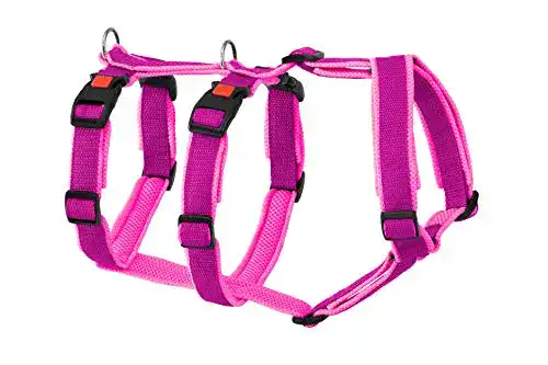 Sicherheitsgeschirr für den Hund Greyhound Safe it ™ Das Original