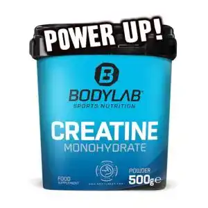 Creatin Bodylab24, Powder 500g, reines Monohydrat Pulver