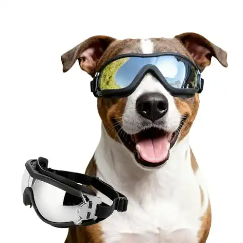 Die beste Sonnenbrille Hund Namsan Hundebrille Netive Winddicht 2026 Test Bestseller Sonnenbrille Hund Namsan Hundebrille Netive Winddicht