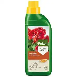 Geraniendünger Pokon Geranien Flüssigdünger, Geranium Dünger
