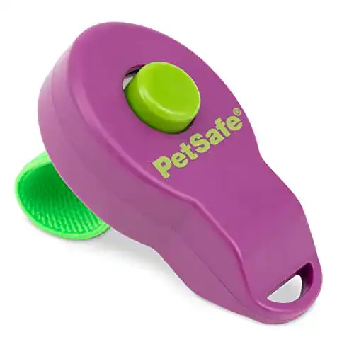 Die beste Clicker PetSafe Clik-R Klicker für Hunde inklusive Fingerschlaufe 2026 Test Bestseller Clicker PetSafe Clik-R Klicker für Hunde inklusive Fingerschlaufe