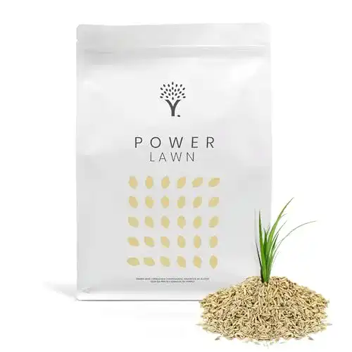 Rasensamen-schnellkeimend MOOWY Sommer Power 250m²