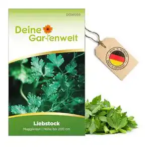 Liebstöckel-Samen Deine Gartenwelt Liebstock Maggikraut Samen