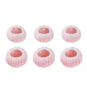 Seeigel-Skelett VOSAREA 6pcs natürlichen Seeigel Muscheln