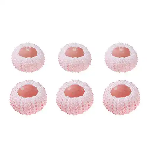 Seeigel-Skelett VOSAREA 6pcs natürlichen Seeigel Muscheln
