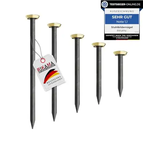 Stahlnägel RiKaMa ONLINEVERSAND AUS EINER HAND 100 Nägel