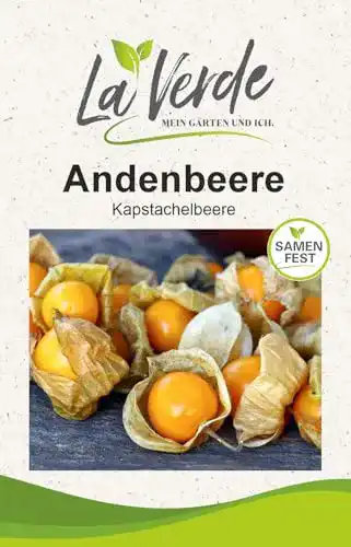 Physalis-Samen La Verde MEIN GARTEN UND ICH. Andenbeere