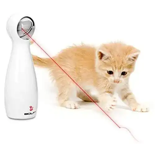 Katzenspielzeug (elektrisch) PetSafe Automatisches Laserlicht BOLT