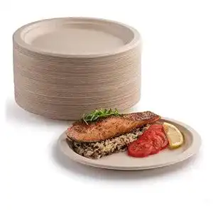 Pappteller YIEN 50 x, 100 % biologisch abbaubar, 25,4 cm