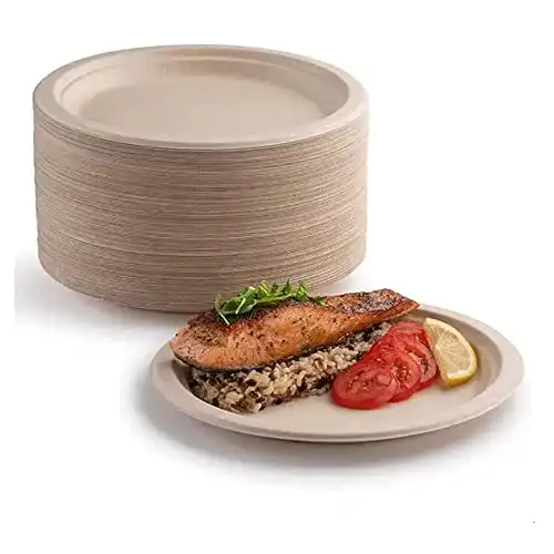 Pappteller YIEN 50 x, 100 % biologisch abbaubar, 25,4 cm