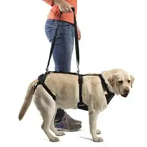 Tragehilfe-Hund Ortocanis Ganzkörper-Tragehilfe für Hunde