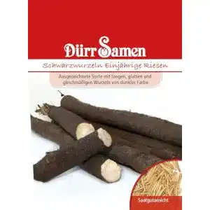 Schwarzwurzelsamen Dürr-Samen Schwarzwurzeln Einjährig