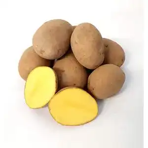 Kartoffeln Lamera Kartoffel Afra mehlige 1-25 Kg