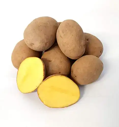 Kartoffeln Lamera Kartoffel Afra mehlige 1-25 Kg