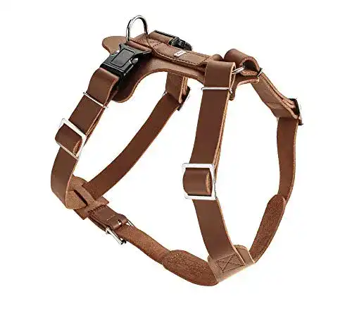 Hundegeschirr Leder HUNTER Aalborg Hundegeschirr, Leder