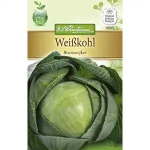 Weißkohl-Samen Chrestensen Weißkohl ‘Brunswijker’