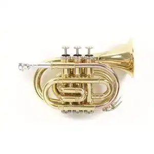 Taschentrompete Roy Benson Bb Taschen-Trompete MOD.PT-101