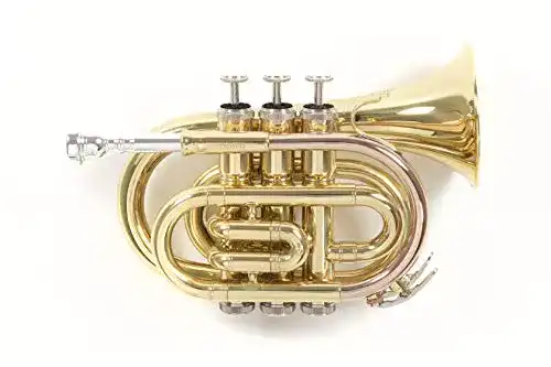 Taschentrompete Roy Benson Bb Taschen-Trompete MOD.PT-101