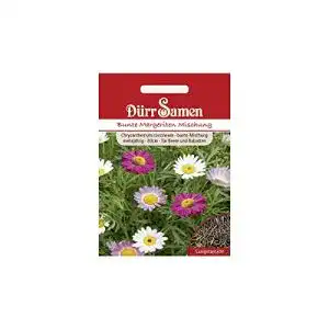 Margeritensamen Dürr-Samen Margeriten Samen Bunte Mischung