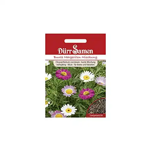 Die beste Margeritensamen Dürr-Samen Margeriten Samen Bunte Mischung 2026 Test Bestseller Margeritensamen Dürr-Samen Margeriten Samen Bunte Mischung