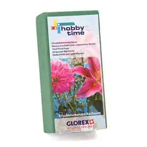 Steckschaum Glorex 6 3804 721 für Frischblumen, saugstark