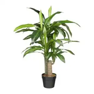 Kunstbaum HTT Decorations Drachenbaum, 90cm hoch