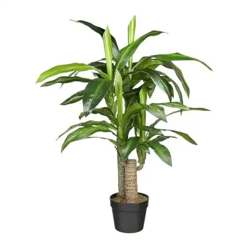 Kunstbaum HTT Decorations Drachenbaum, 90cm hoch