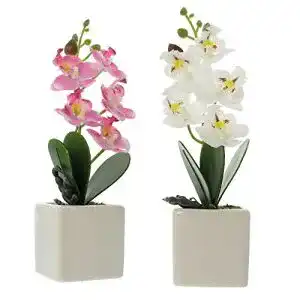 Kunstpflanzen FRANK FLECHTWAREN Deko-Orchidee im Topf 2er