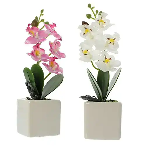 Kunstpflanzen FRANK FLECHTWAREN Deko-Orchidee im Topf 2er