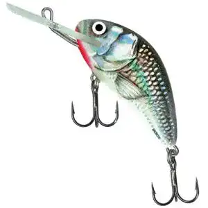Barsch-Wobbler Salmo Hornet Wobbler, Farben:Holographic Grey