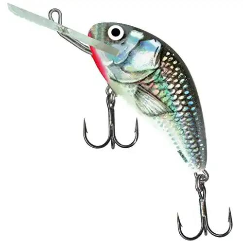 Barsch-Wobbler Salmo Hornet Wobbler, Farben:Holographic Grey