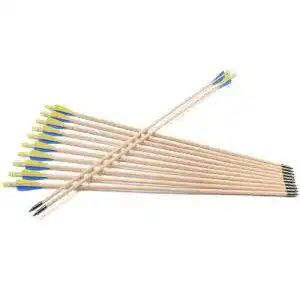 Holzpfeile TY Archery 12 Stück Pfeile Holzpfeil Recurvebogen