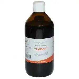 Lebertee FH Leber Teekonzentrat mit Löwenzahn, 500 ml