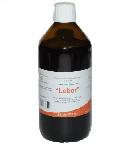 Lebertee FH Leber Teekonzentrat mit Löwenzahn, 500 ml