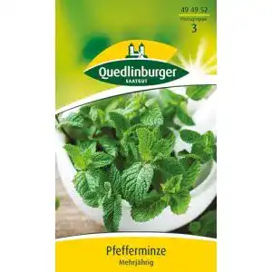 Pfefferminze-Samen Vertriebsgesellschaft Quedlinburger Saatgut