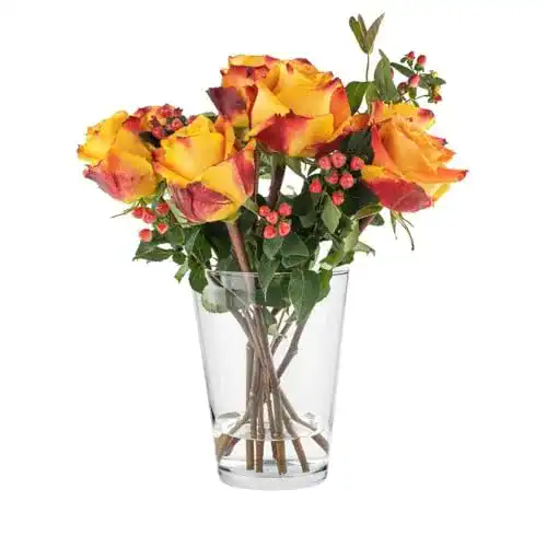Glasvase TREND FOR HOME Blumenvase Vase Glas 1965 ml