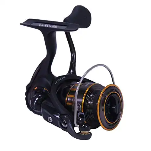 Die beste Daiwa-Rollen Daiwa BG1500 BG Salzwasser-Spinnrolle, Schwarz/Gold 2026 Test Bestseller Daiwa-Rollen Daiwa BG1500 BG Salzwasser-Spinnrolle, Schwarz/Gold