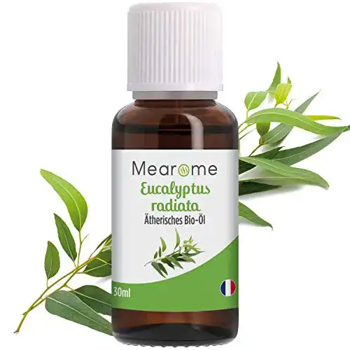 Eukalyptusöl Plastimea BIO, 100% Naturrein, Eucalyptus Radiata