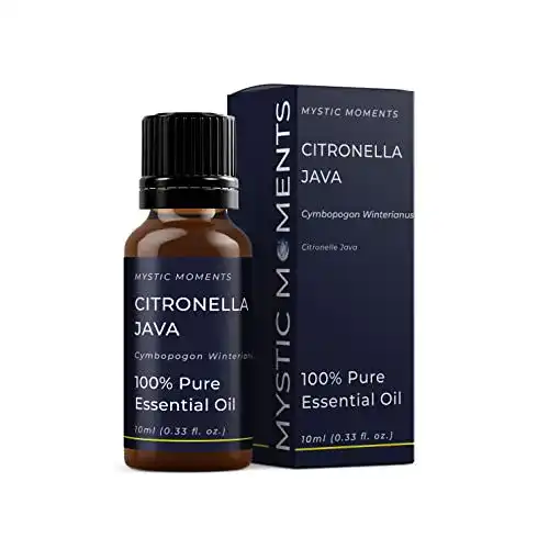 Citronella-Öl Mystic Moments Zitronella Java Ätherisches Öl 10ml