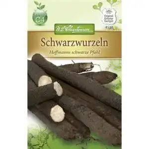 Schwarzwurzelsamen Chrestensen ‘Hoffmanns schwarze Pfahl’