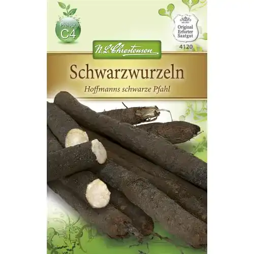 Schwarzwurzelsamen Chrestensen ‘Hoffmanns schwarze Pfahl’