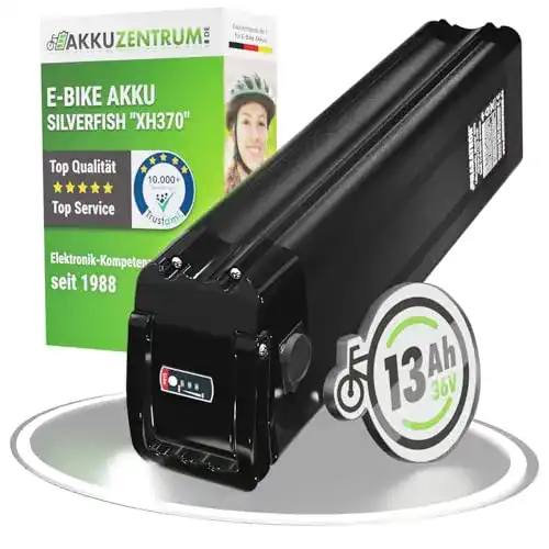 E-Bike Akku Maratron E-Bike Pedelec Akku 36V 12Ah für Aldi Prophete