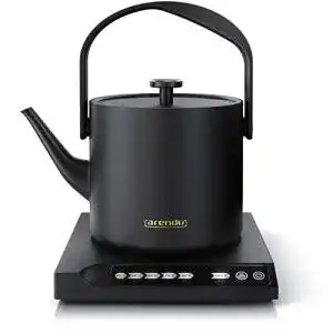 Wasserkocher 0,5 Liter Arendo, Edelstahl mit Temperatureinstellung